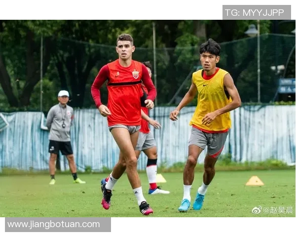 上海乒乓球队的精神风貌与训练理念深度探讨与分析