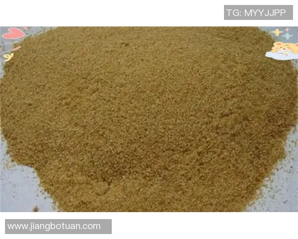 刘敏独家分享排球心得与技巧助你提升球技的全面指南