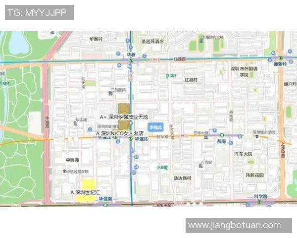 深圳羽毛球队实力深度解析与各队对比分析