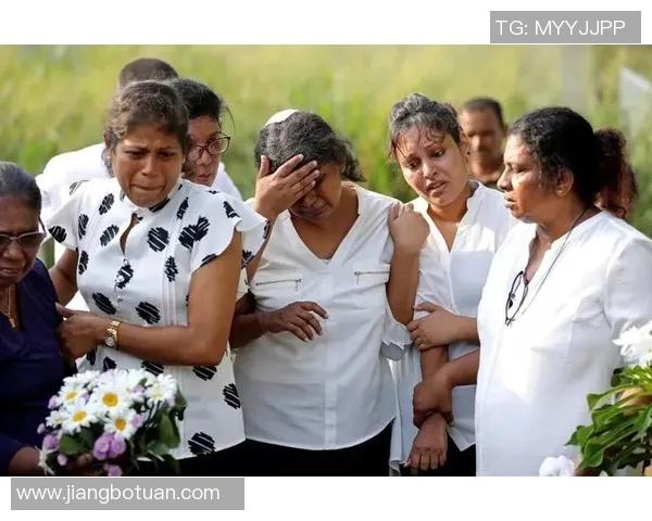 武汉网球队的拼搏历程与荣耀时刻全景回顾 武汉网球队的拼搏历程与荣耀时刻全景回顾