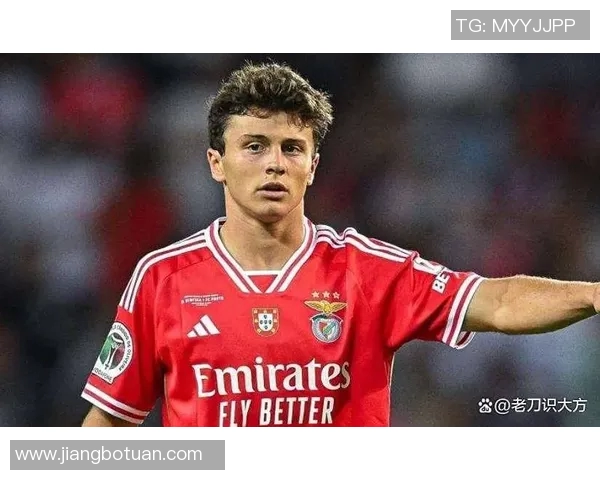 若昂内维斯的职业生涯回顾与未来发展展望分析