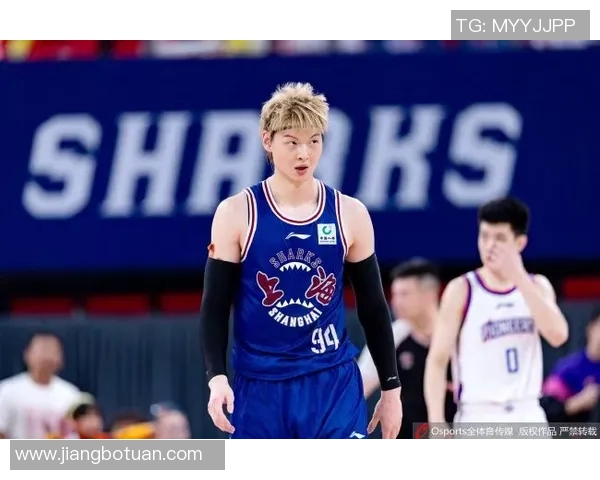 cBA男篮北京队与辽宁队精彩对决回放全程回顾与分析