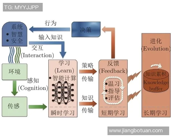 查路与洪卡分析的深度比较与应用探讨 查路与洪卡分析的深度比较与应用探讨